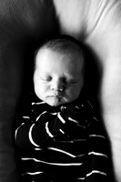 Eli Newborn/Ava 2 year/Family